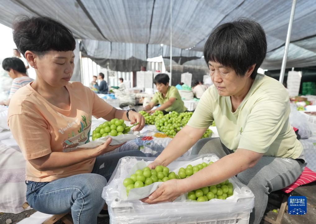 巴黎人电子登录